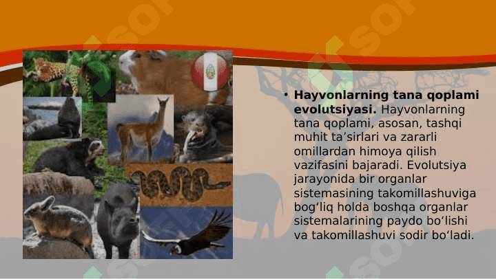 Hayvonlarning tana qoplami va harakat organlari evolutsiyasi 3