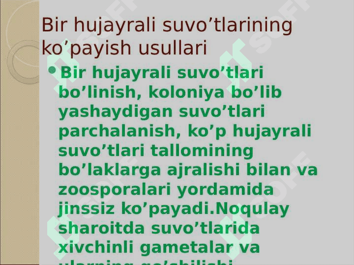 O’simliklarning generativ organlari filogenezi 5