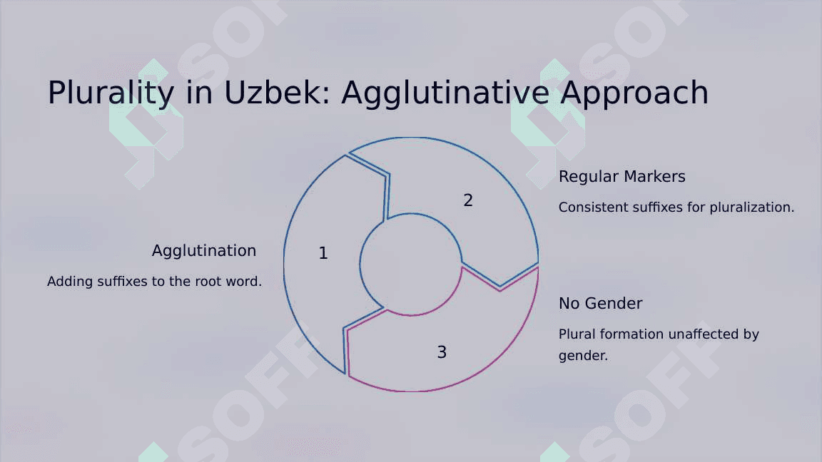 Typology of plural category in English, Uzbek and Russian languages 7