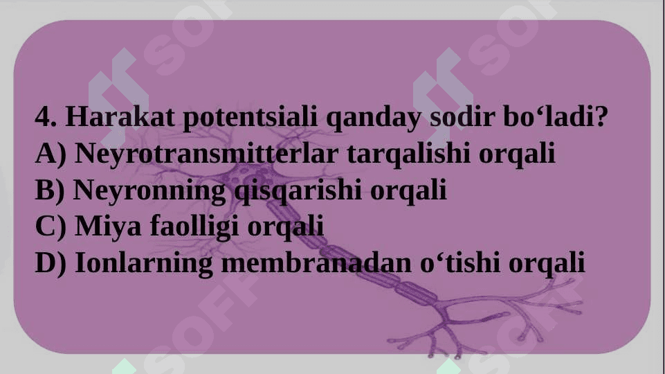 Informatsiyani kodlash mexanizmlari 6