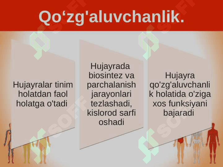 Hujayra va organizmning hayotiy xossalari 5