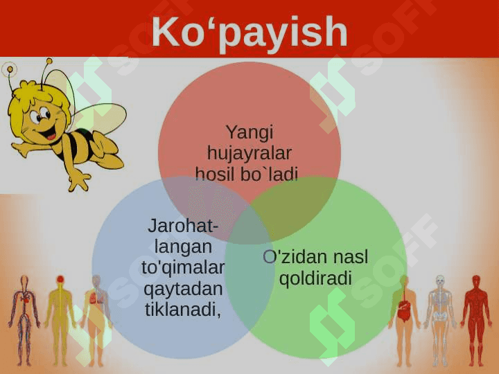 Hujayra va organizmning hayotiy xossalari 6