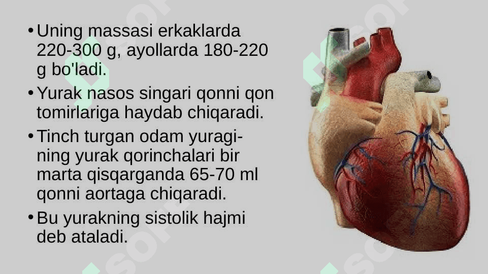 Qon aylanishining ahamiyati, yurakning tuzilishi 5
