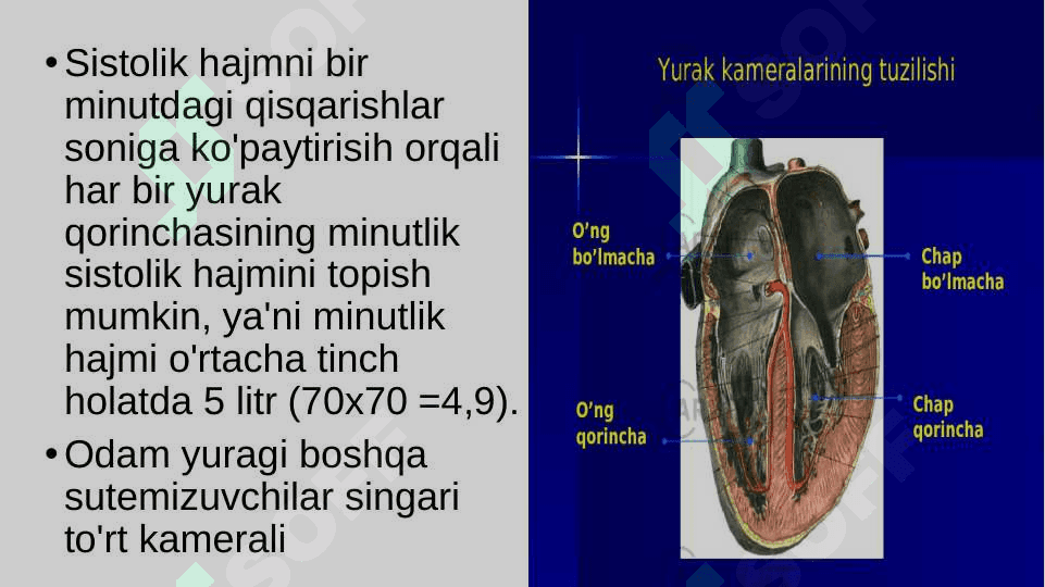 Qon aylanishining ahamiyati, yurakning tuzilishi 6