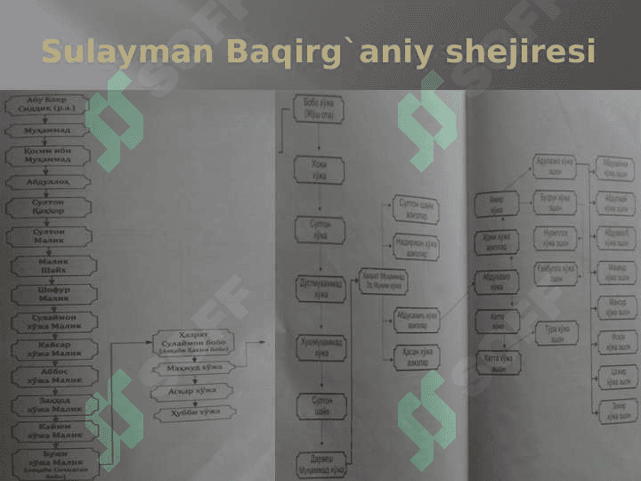 Sulayman Baqirg`aniy 6