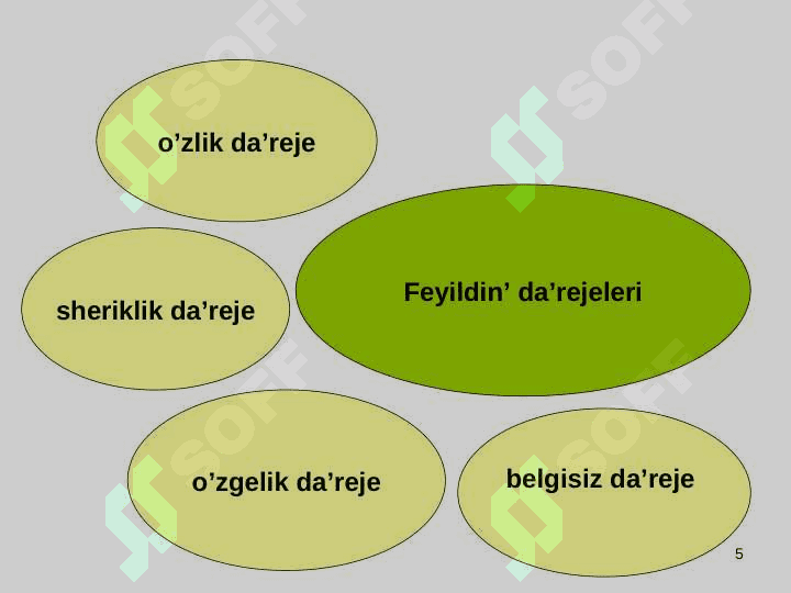 Feyil 5