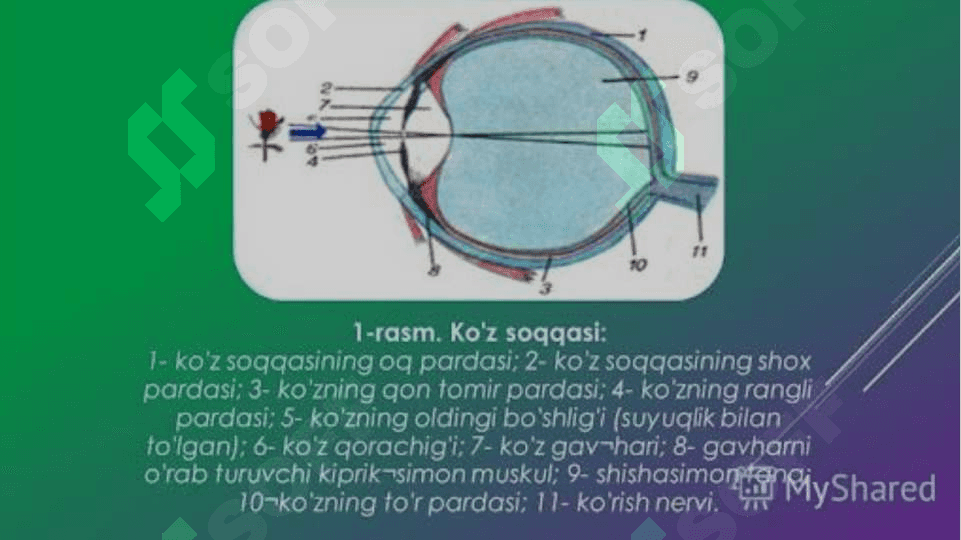 SENSOR NUQSONLI BOLALARNI INKLYUZIV TA‘LIM SHAROITIDA O‘QITISH VA TARBIYALASH 3