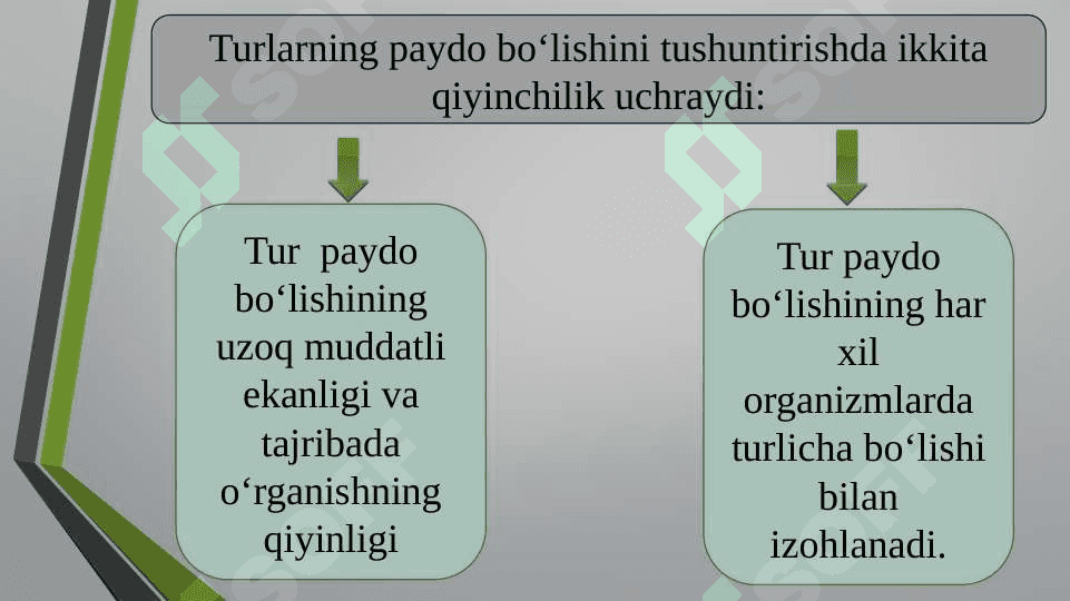 Turlarning paydo bo`lishi 5