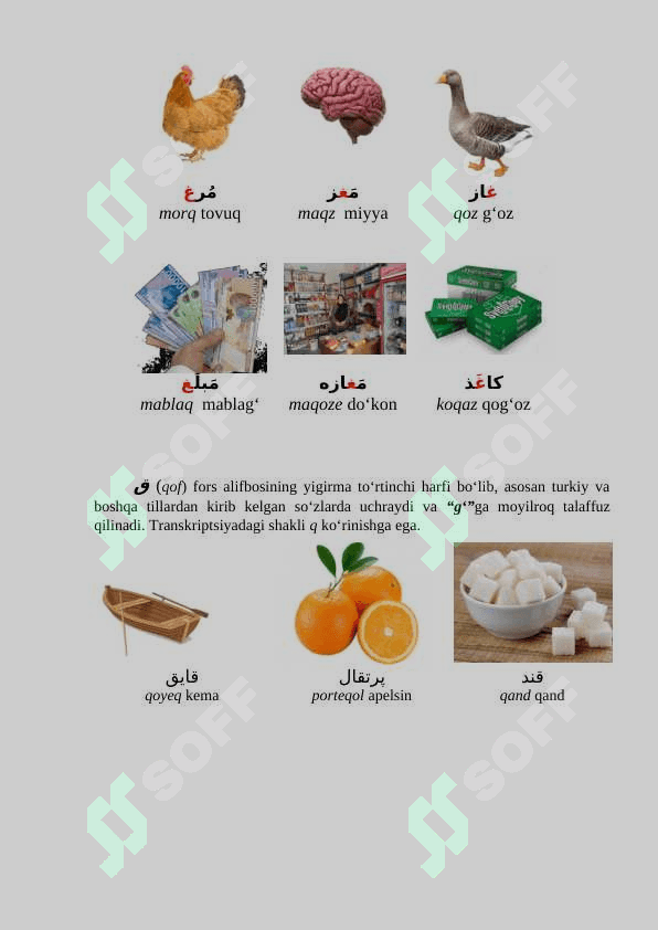 LOM AYN G‘AYN VA QOF HARFLARINING YOZILISHI VA TALAFFUZI 2
