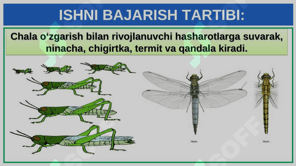 SUVARAK VA ASALARINING HAYOT SIKLINI O‘RGANISH 6