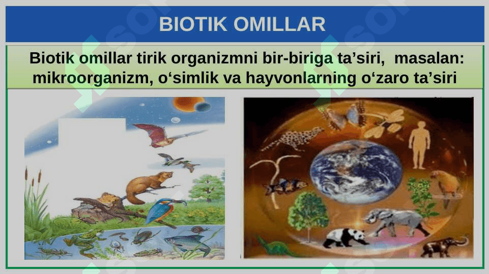 EKOLOGIK OMILLAR 5