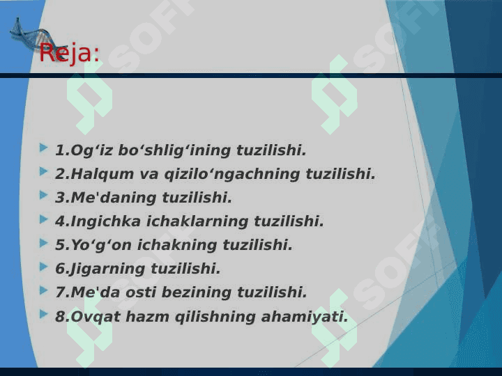 Ovqat hazm qilish organlarining tuzilishi va vazifasi 2