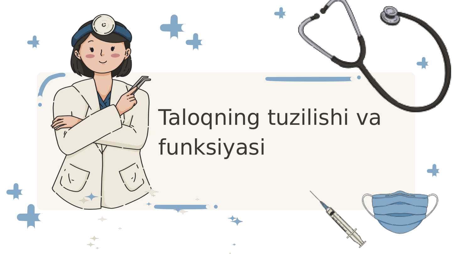 Taloqning tuzilishi va funksiyasi
