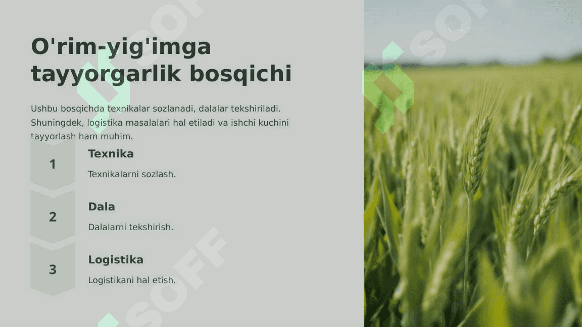 G'alla yig'ishtirish fazalari va unda foydalaniladigan innovatsion texnik yechimlar 5