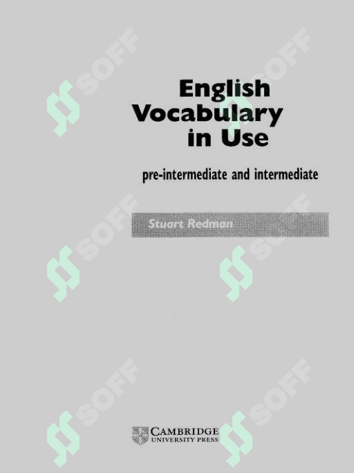 English vocabulary in use. 2
