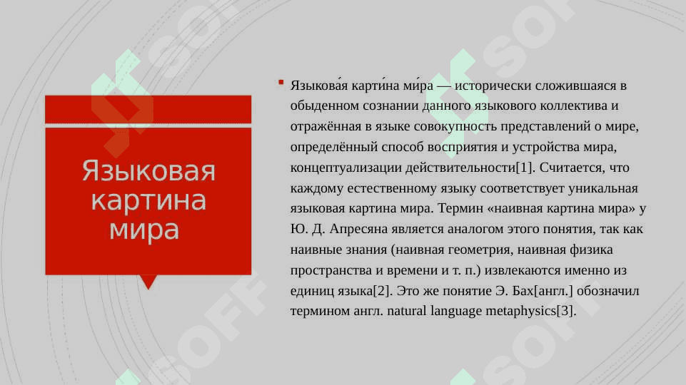 Языковая картина мира.10.pptx 2
