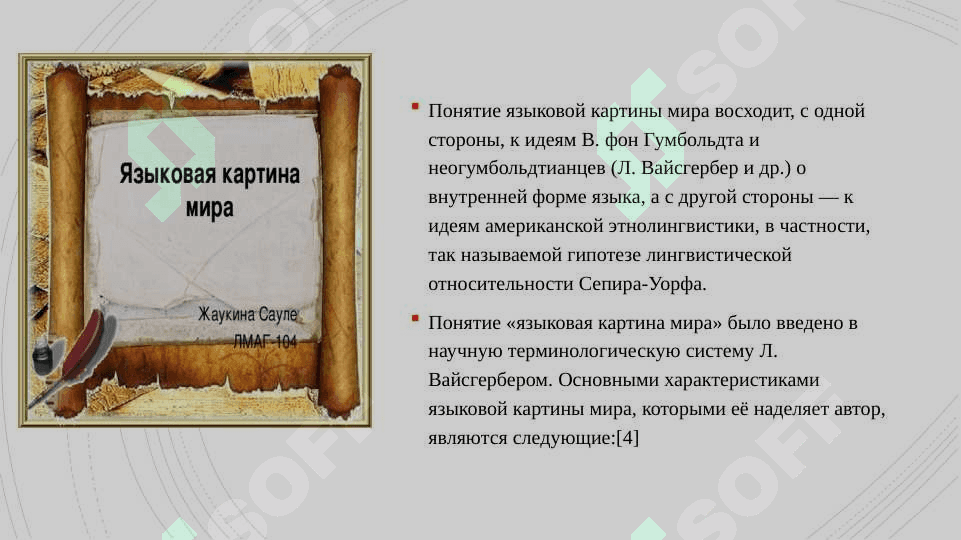 Языковая картина мира.10.pptx 3