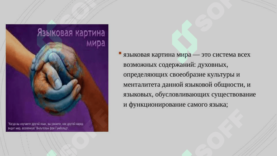 Языковая картина мира.10.pptx 4