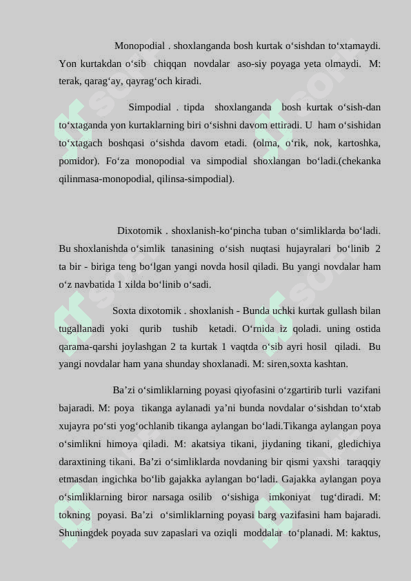 Ildiz,  poya metamorfozmi 4