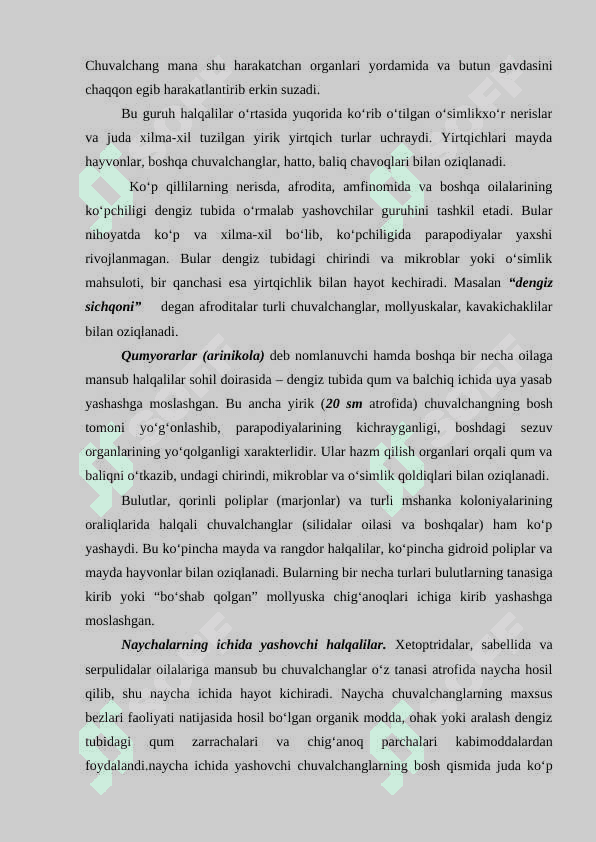 Halqali chuvalchanglar (Annelida) Echiura va Sipuncula tiplari 6