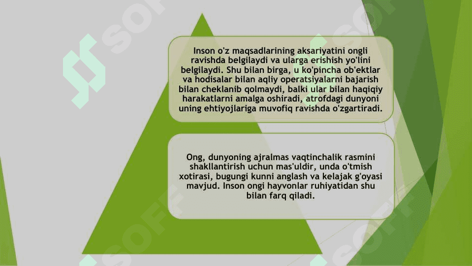 ong va uning rivojlanishi 6