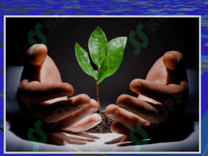 BIOSFERA, GLOBAL EKO TIZIM 5