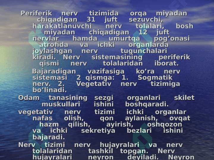 Nerv sistemasining fiziologiyasi va yosh    xususiyatlari 4