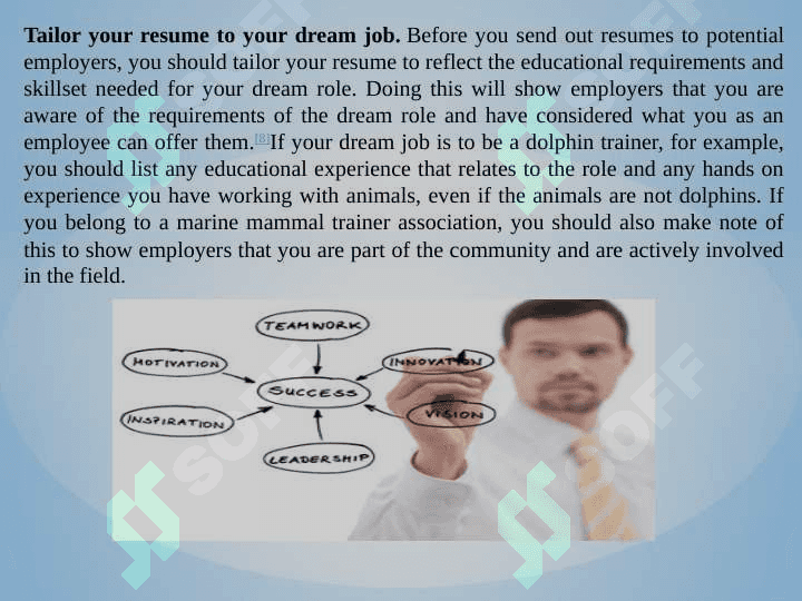 My Dream Job 2