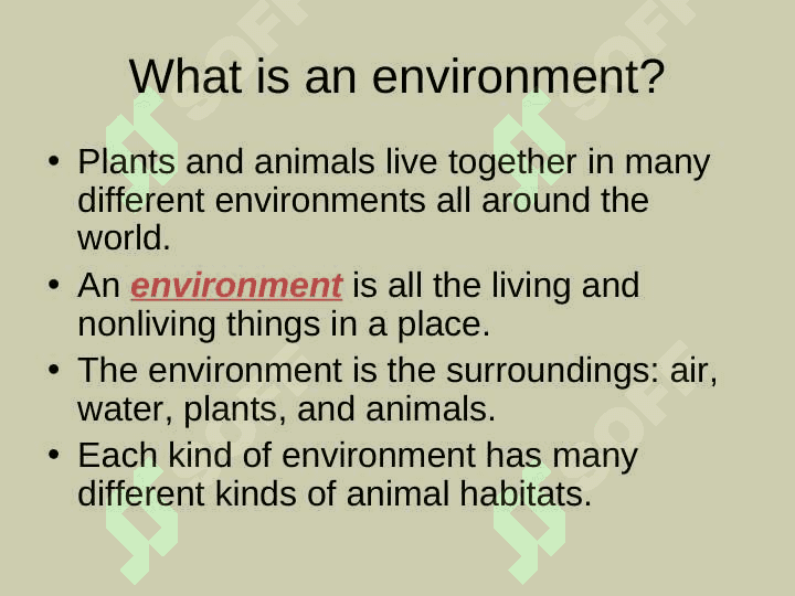 Habitats for Plants and Animalsby Denise Carroll 2