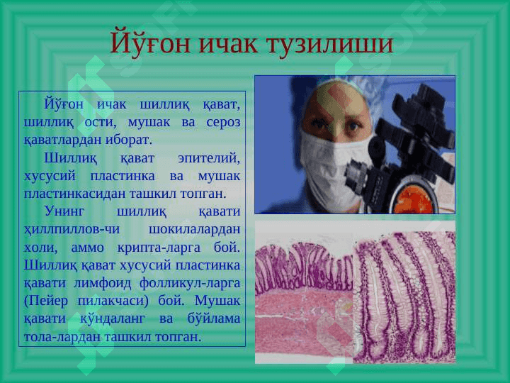 Yog`on va to`g`ri ichak hirurgik kasalliklari .  Йўғон ва тўғри ичак хирургик касалликлари 6