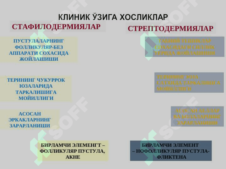 Terining yuqumli kasalliklari . Piodermiyalar ,  dermatozoonozlar , mikozlar . Терининг юқумли касалликлари . Пиодермиялар , дерматозоонозлар , микозлар 6