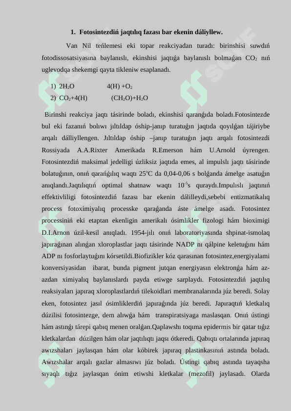 #kurs jumisi 5