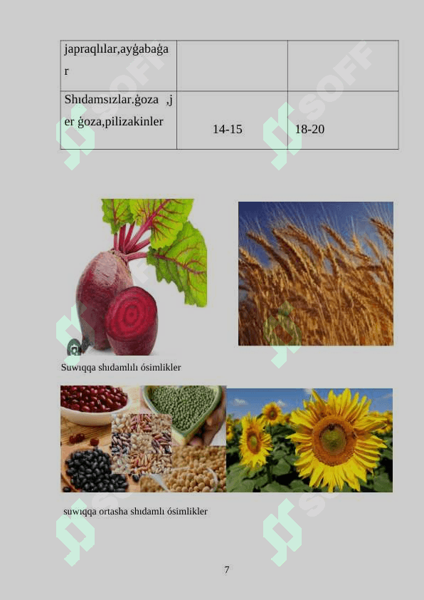 #kurs jumisi 7