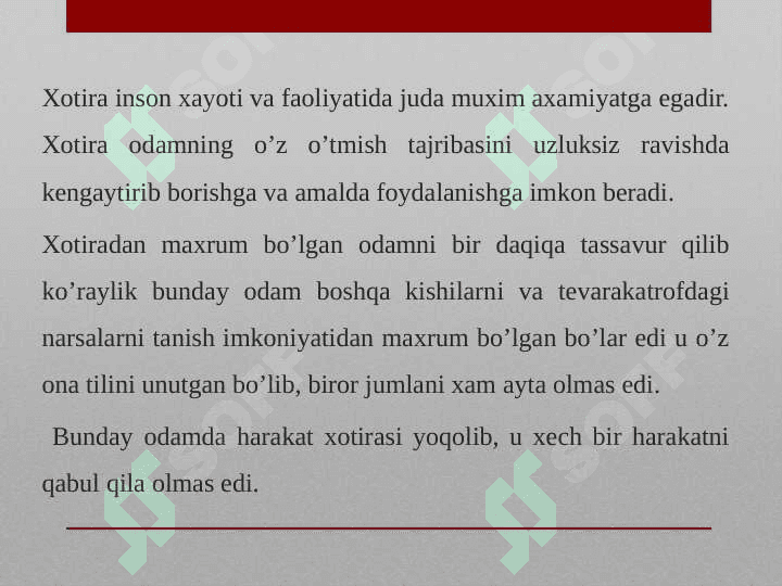 Xotira 3
