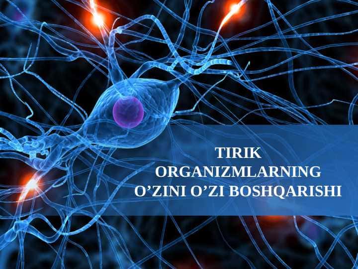 Tirik organizmlarning o'zini o'zi boshqarishi 1