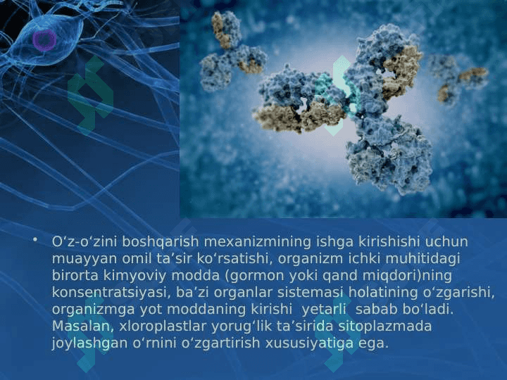 Tirik organizmlarning o'zini o'zi boshqarishi 5