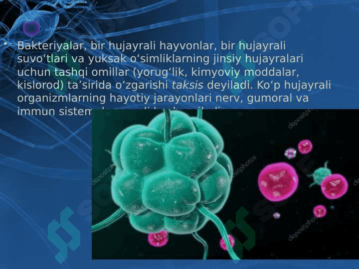 Tirik organizmlarning o'zini o'zi boshqarishi 6