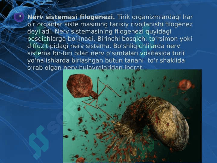 Tirik organizmlarning o'zini o'zi boshqarishi 8