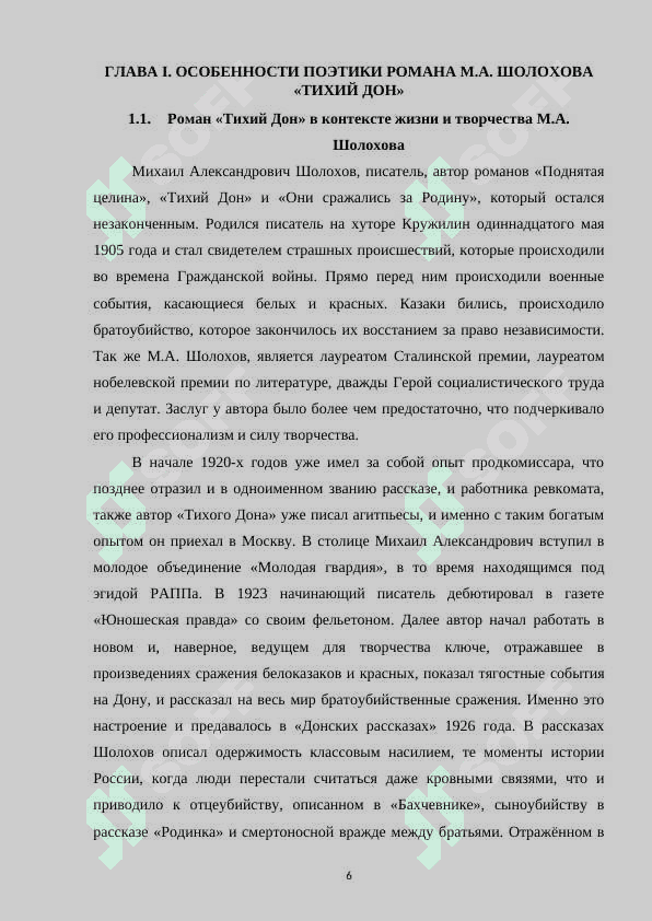 Анализ поступков героев повести М.А. Шолохова «Тихий Дон» 6