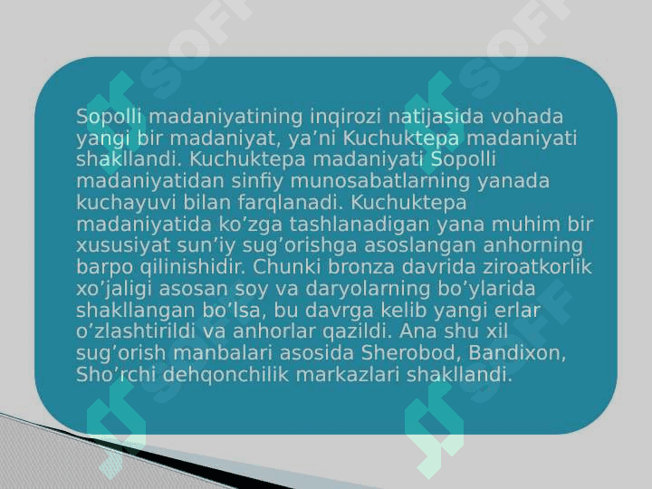 termiz 6