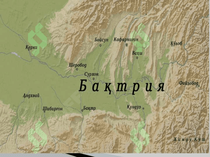 termiz 7
