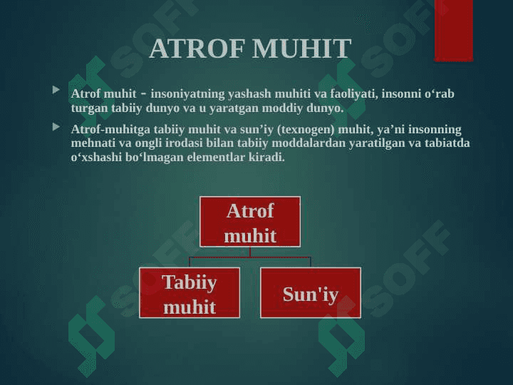 EKOLOGIYA VA ATROF – MUHITNI MUHOFAZA QILISH 4