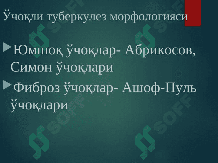 O`PKANING O`CHOQLI YALLIG`LANGAN TUBERKEZI VA O`PKA TUBERKULEMASI 5
