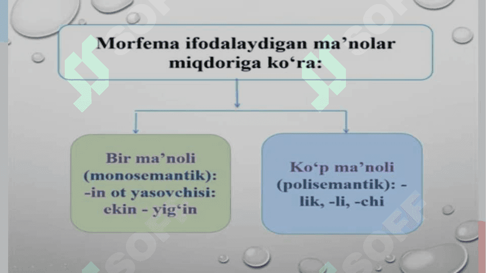 O'zbek tili morfemikasi va so'z yasalishi 5