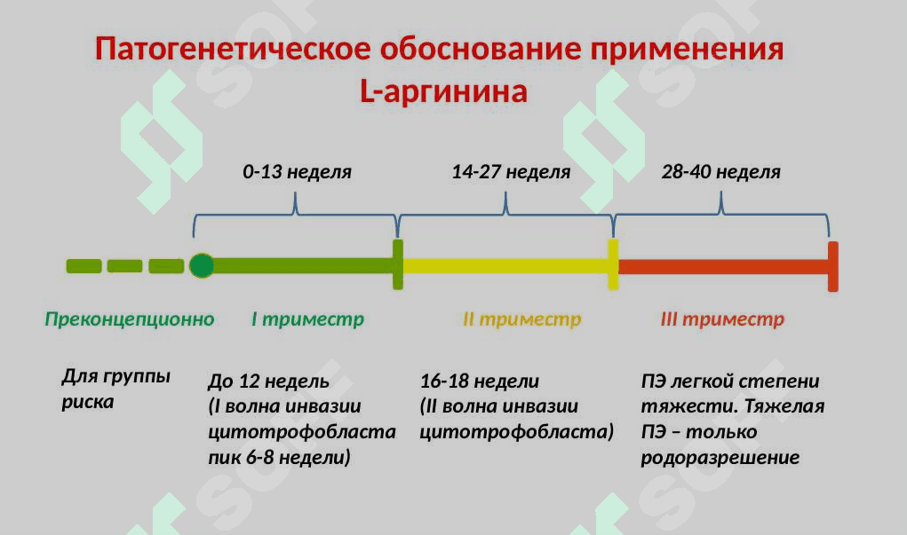 Роль L-аргинина в планировании и течении беременности 3