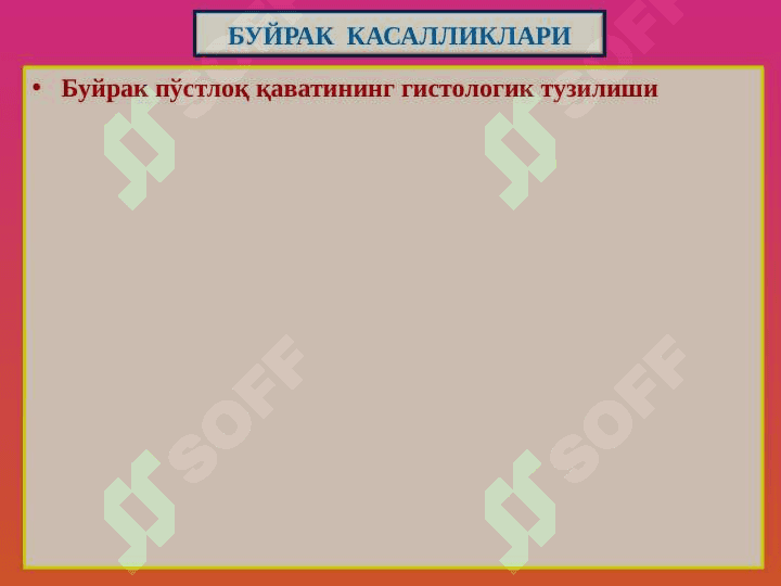Buyrak kasalliklari . Буйрак касалликлари 3