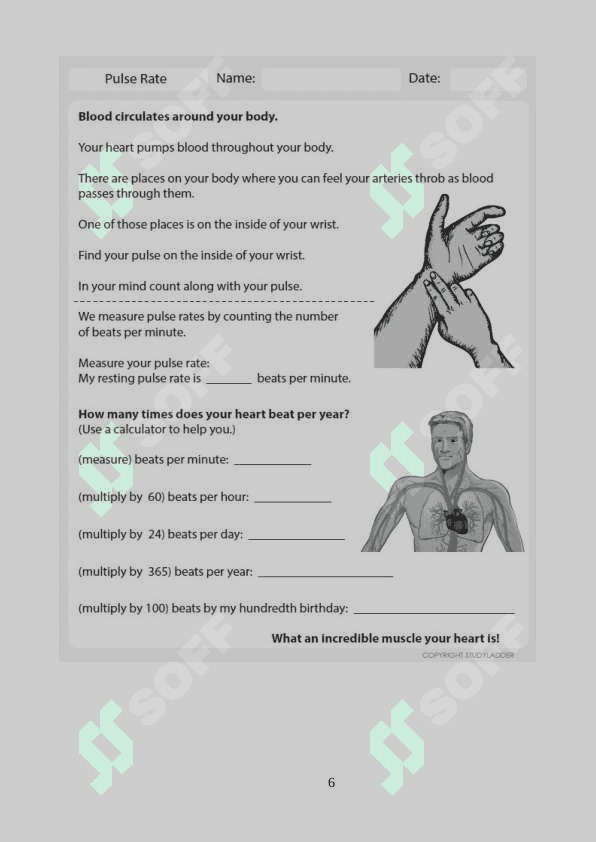 Chronic pain.docx 6