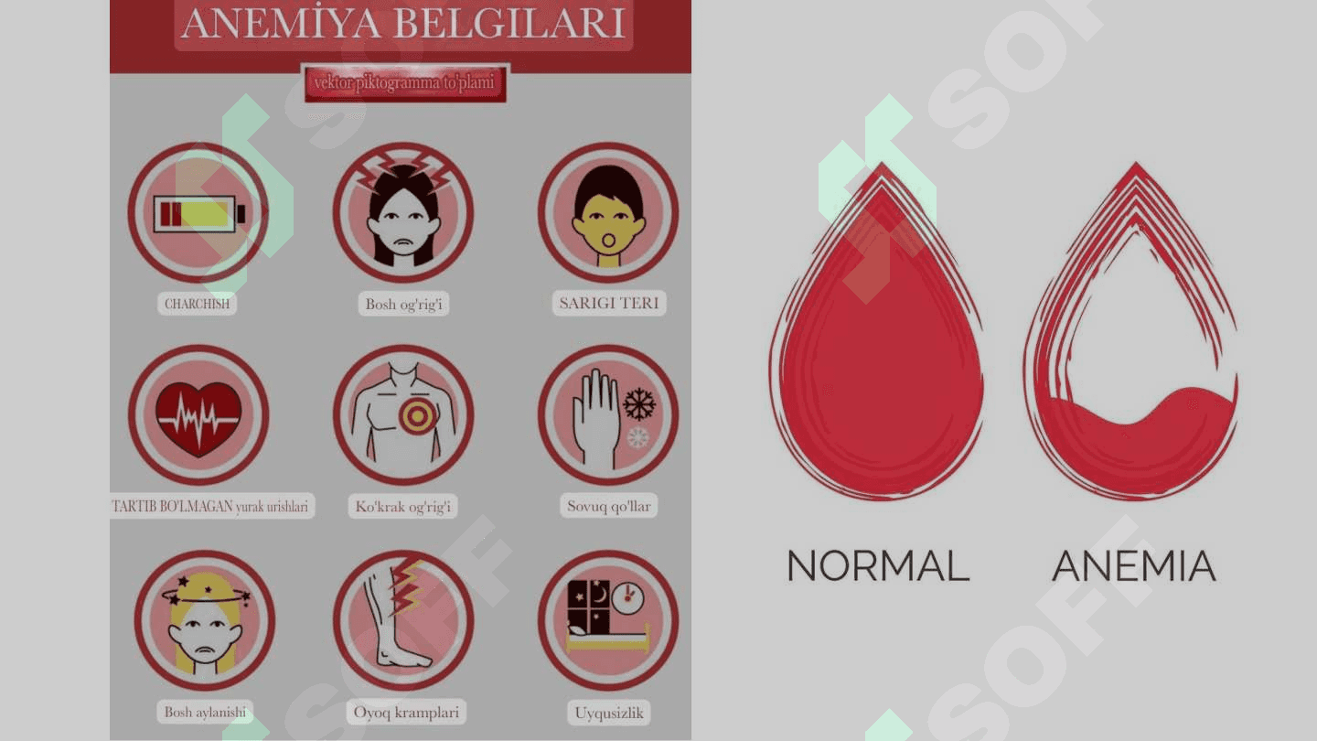 Mis, B12, B9 yetishmovchiligida rivojlanadigan anemiyalarning biokimyoviy asoslari. Qon zardobida oqsillar aniqlashning klinik ahamiyati 3