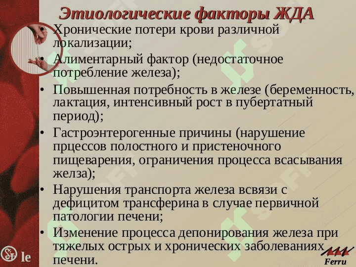 Анемии. Классификация,этиология, патогенез, клиника, диагностика, лечение, профилактика 7