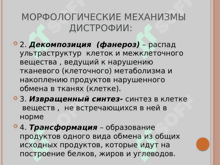 Дистрофии 4